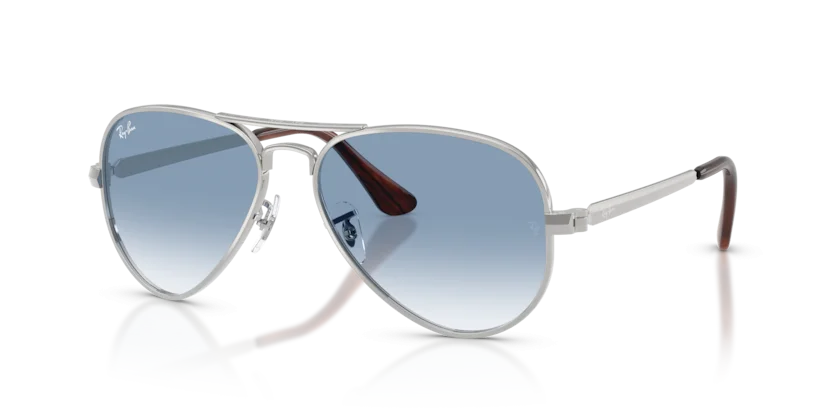 Kính Mát Ray-Ban RB3925 003/3F