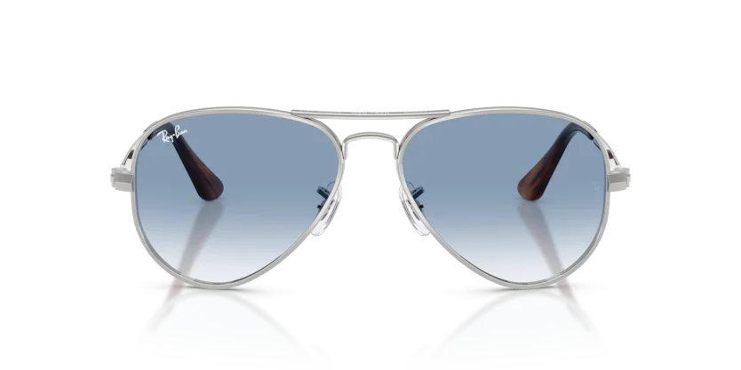 Ray-Ban RB3925 003/3F