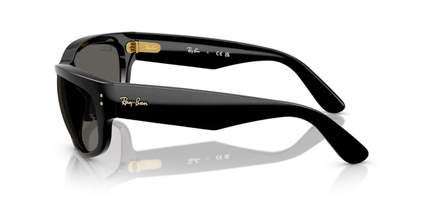 Ray-Ban RB2289 6826/J5