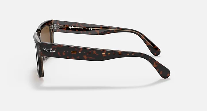 Ray-Ban RB2191 1292/57