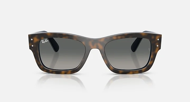 Ray-Ban RB7683S 1401/71