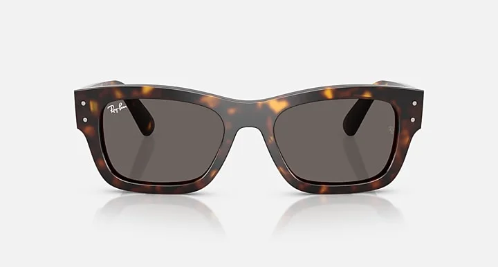 Ray-Ban RB7683S 902/B1