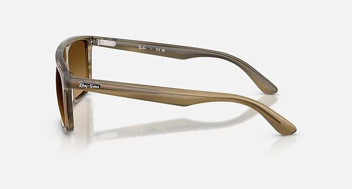 Ray-Ban RB2222F 1439/85