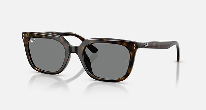 Kính Mát Ray-Ban RB4439D 710/87