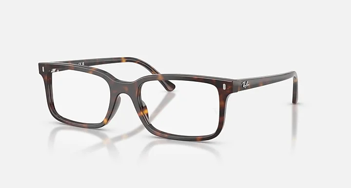 Ray-Ban RB5445 2012