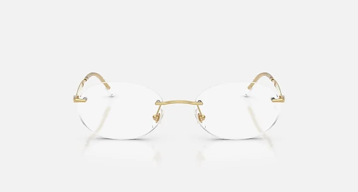 Ray-Ban RB3767V 2500 