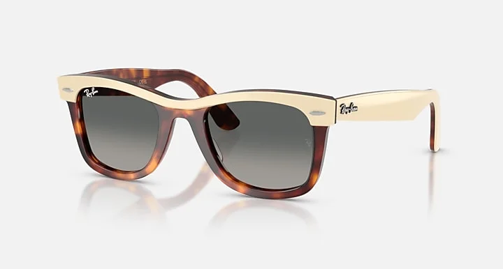 Kính Mát Ray-Ban RB2240 1443/71