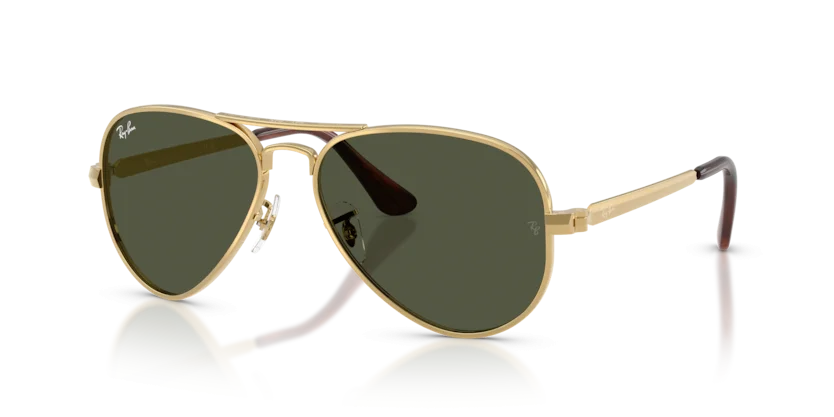 Kính Mát Ray-Ban RB3925 001/31