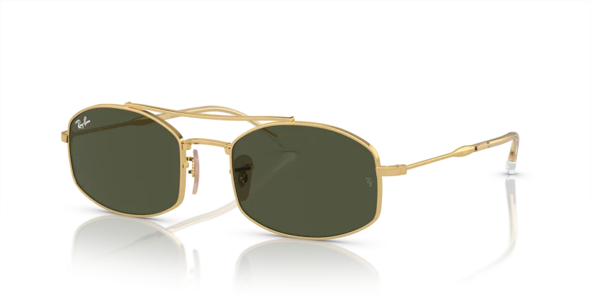 Kính Mát Ray-Ban RB3719 001/31