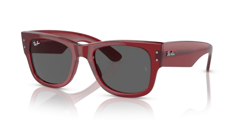 Kính Mát Ray-Ban RB0840SF 6679/B1