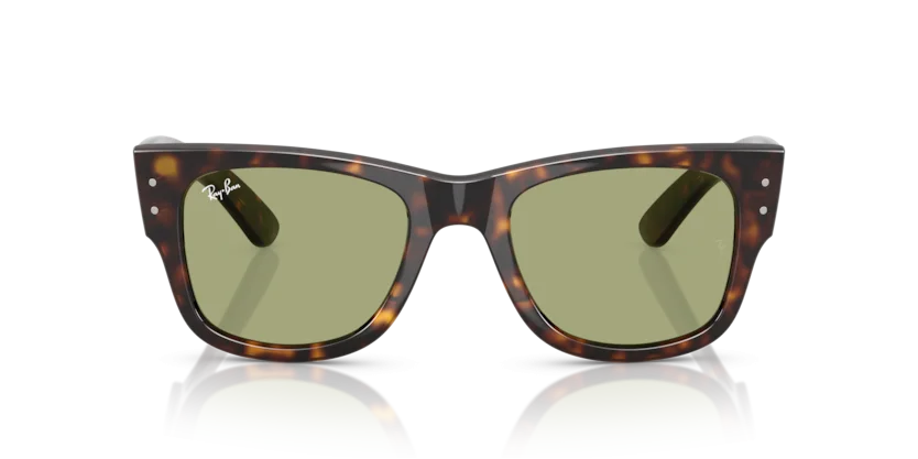 Ray-Ban RB0840SF 902/4E
