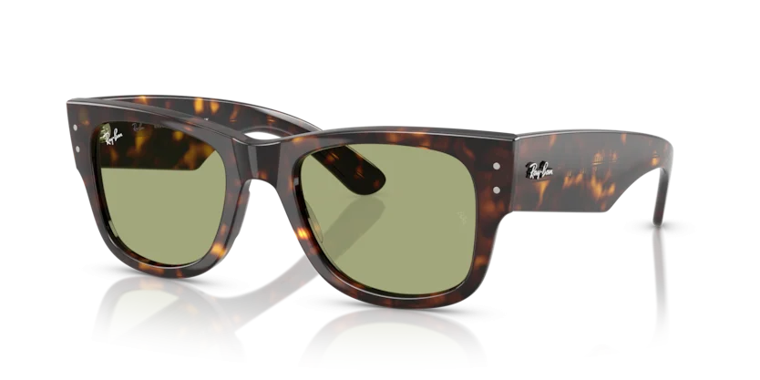 Kính Mát Ray-Ban RB0840SF 902/4E