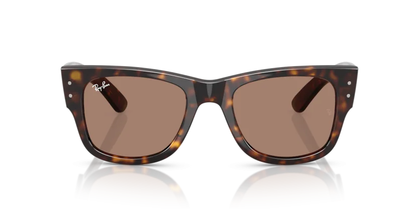 Ray-Ban RB0840SF 902/1A