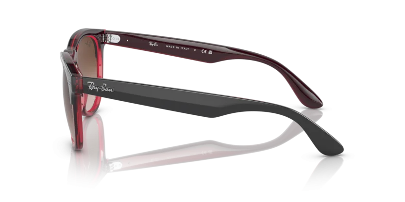 Ray-Ban RB4471 6631/13