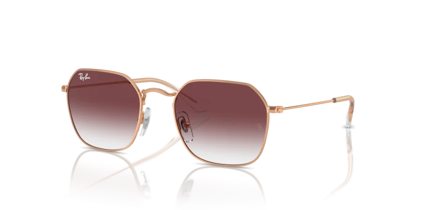 Kính Mát Ray-Ban RJ9594S 291/8H