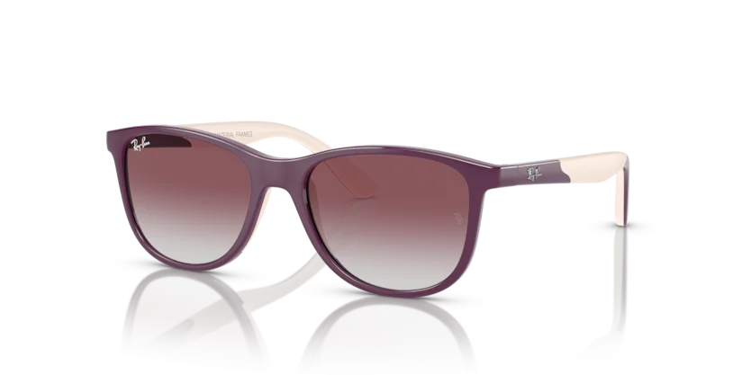 Kính Mát Ray-Ban RJ9077SF 7134/8G