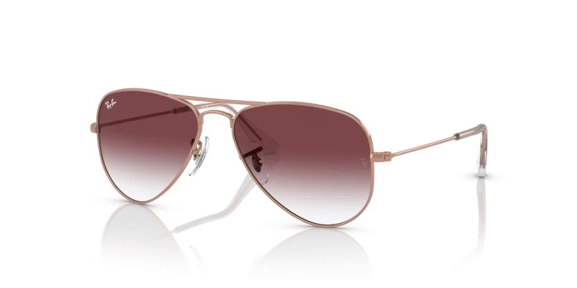 Ray-Ban RJ9506S 291/8H