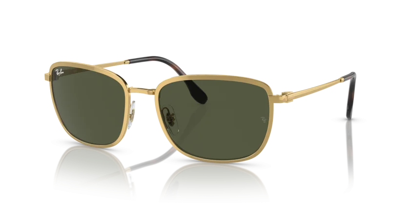 Kính Mát Ray-Ban RB3705 001/31