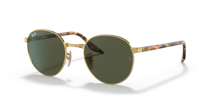 Kính Mát Ray-Ban RB3691 001/31