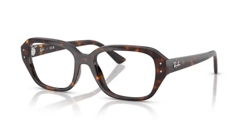 Gọng Kính Ray-Ban RB7258F  8320