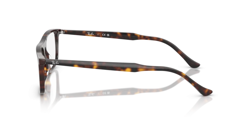 Ray-Ban RB5440F 2012