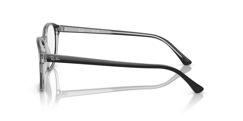 Ray-Ban RB5417F 8367
