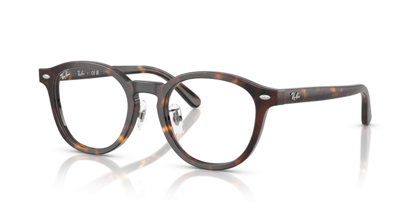 Gọng Kính Ray-Ban RB5443D 2012