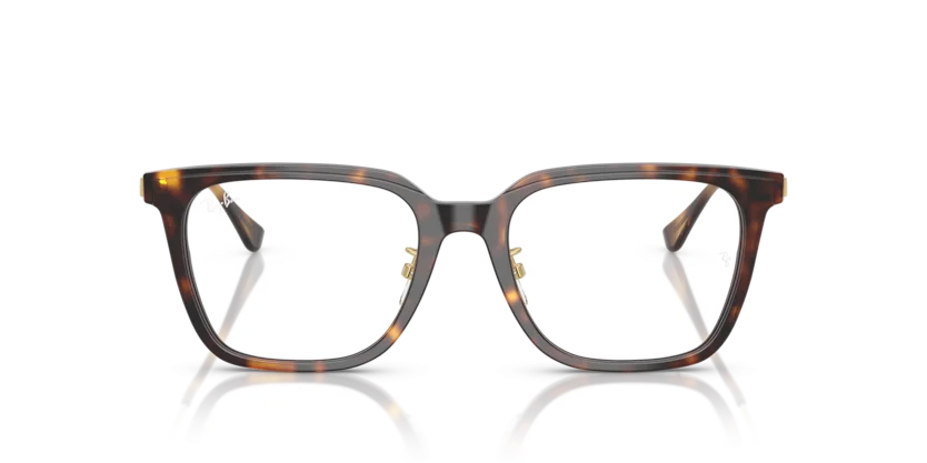 Ray-Ban RB5442D 2012