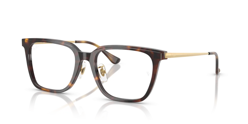 Ray-Ban RB5442D 2012