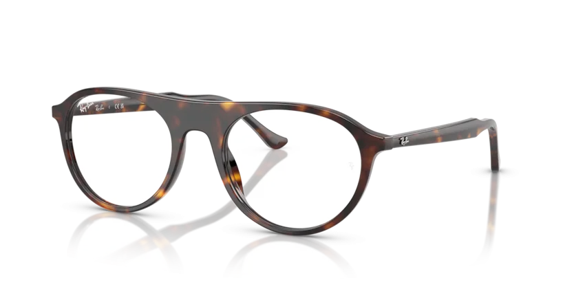 Ray-Ban RB5441 2012