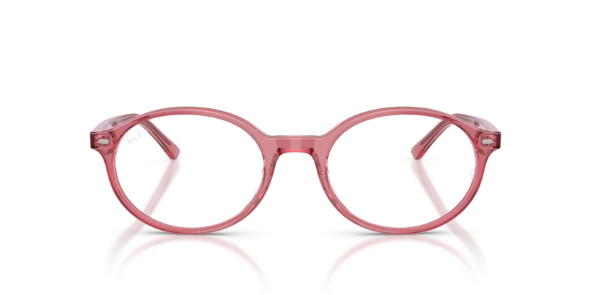 Ray-Ban RB5429 8440
