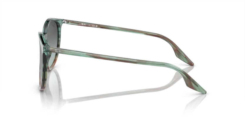 Ray-Ban RB2204F 1394/GK