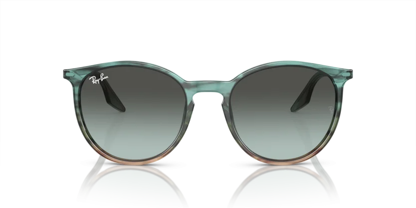 Ray-Ban RB2204F 1394/GK