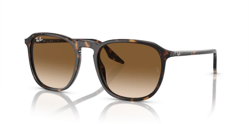 Kính Mát Ray-Ban RB2203F 902/51