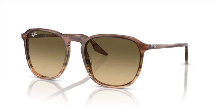 Kính Mát Ray-Ban RB2203F 1392/0A