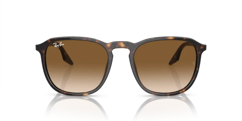 Ray-Ban RB2203F 902/51