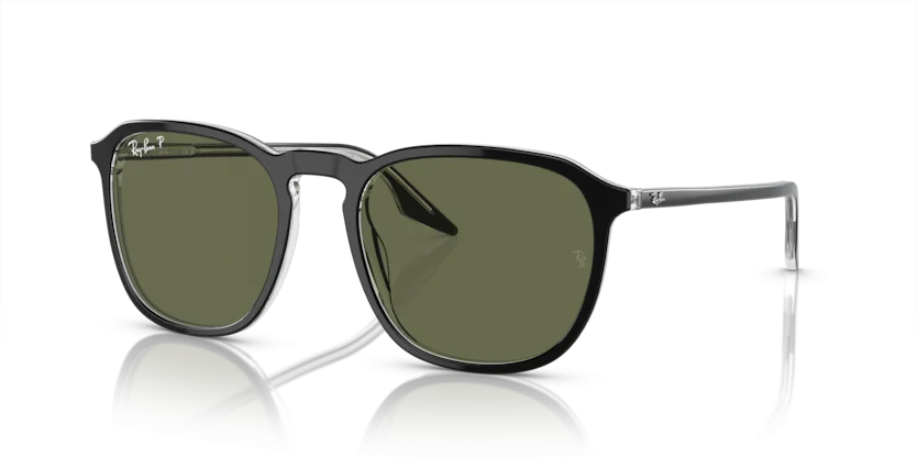 Kính Mát Ray-Ban RB2203F 919/58