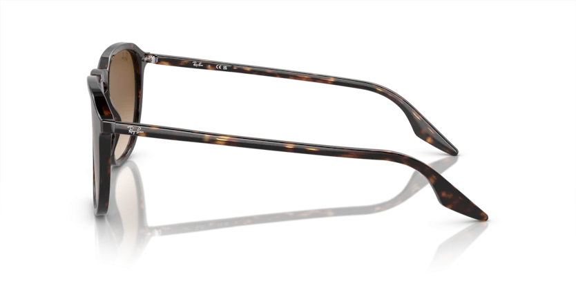 Ray-Ban RB2203F 902/51