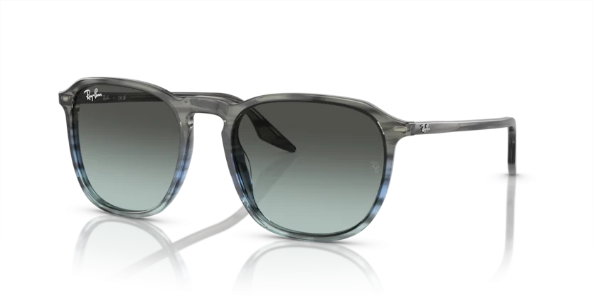 Ray-Ban RB2203F 1391/GK