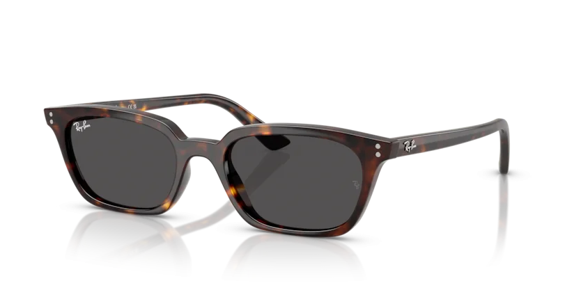 Kính Mát Ray-Ban RB4456F 1359/87