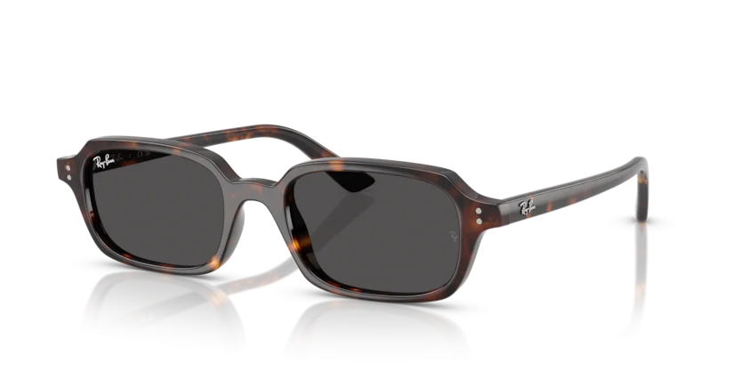 Kính Mát Ray-Ban RB4455F 1359/87
