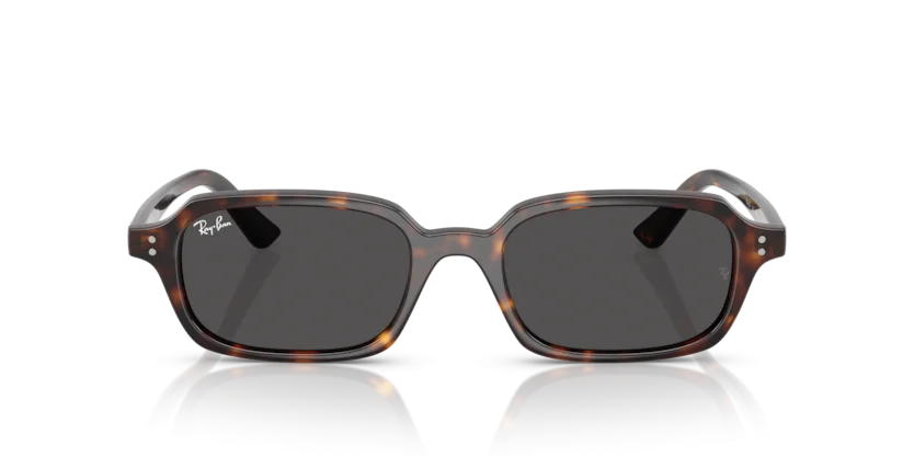 Ray-Ban RB4455F 1359/87
