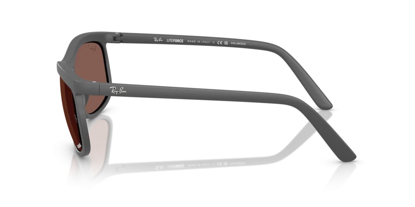 Ray-Ban RB4452CH 6017/1A