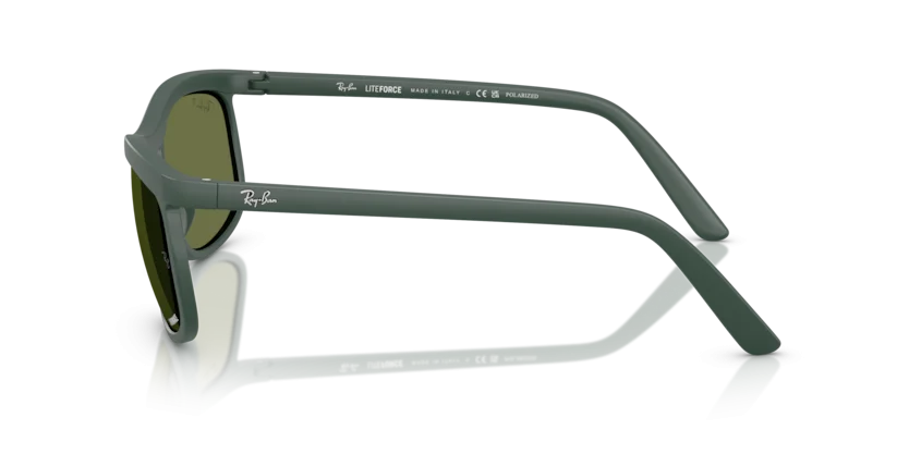 Ray-Ban RB4452CH 6016/2