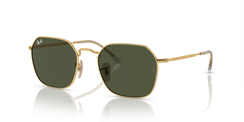 Kính Mát Ray-Ban RB3694 001/31