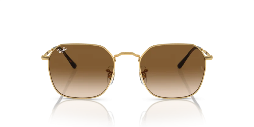 Ray-Ban RB3694 001/51