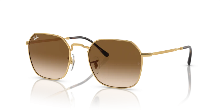 Ray-Ban RB3694 001/51