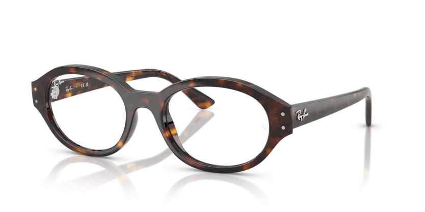 Gọng Kính Ray-Ban RB7257F 8320