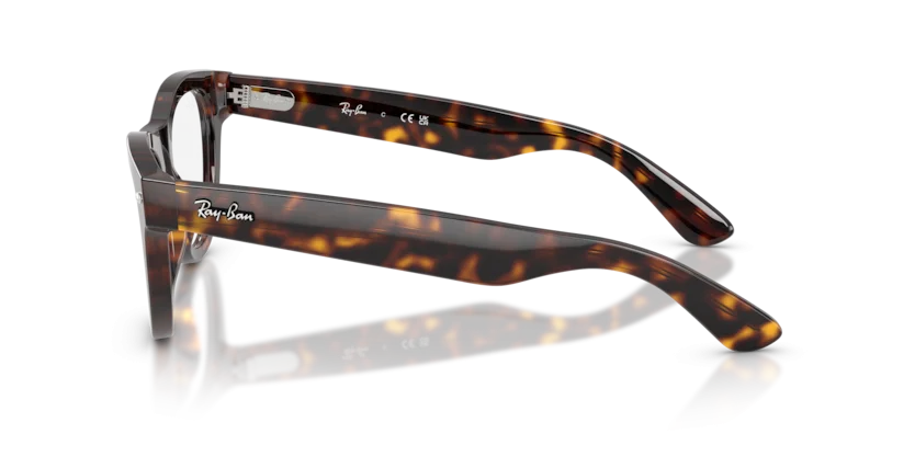 Ray-Ban RB5510 2012