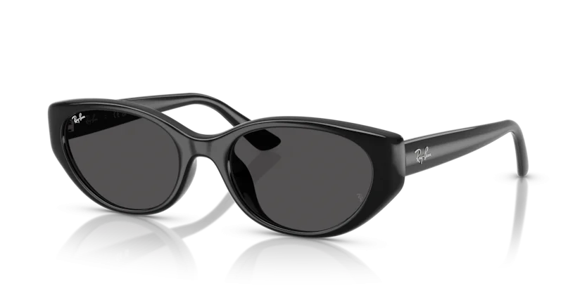 Kính Mát Ray-Ban RB4457D 6677/87